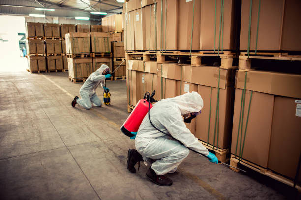 Best Best Pest Control Companies  in Gentry, AR