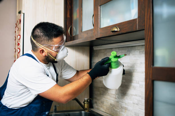 Best Termite Control Services  in Gentry, AR