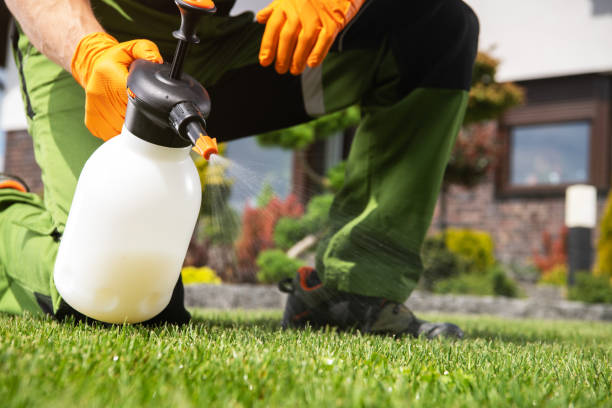 Best Pest Prevention Services  in Gentry, AR