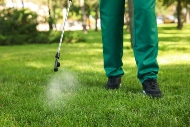 Best Pest Removal Services  in Gentry, AR