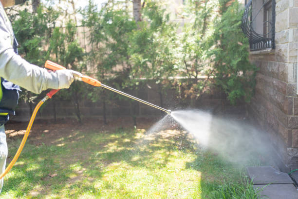 Best Pest Prevention Services  in Gentry, AR