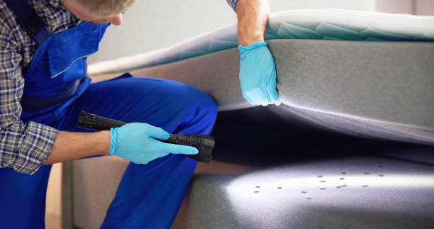 Best Affordable Pest Control Services  in Gentry, AR