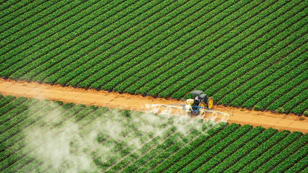 Best Exterminator Services  in Gentry, AR