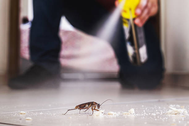 Pest Prevention Services in Gentry, AR