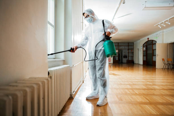 Best Pest Control Near Me  in Gentry, AR