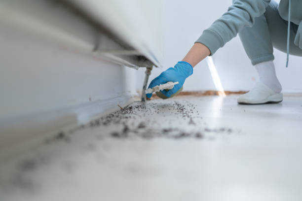 Best Cockroach Control Services  in Gentry, AR
